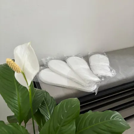 Pura Vida *